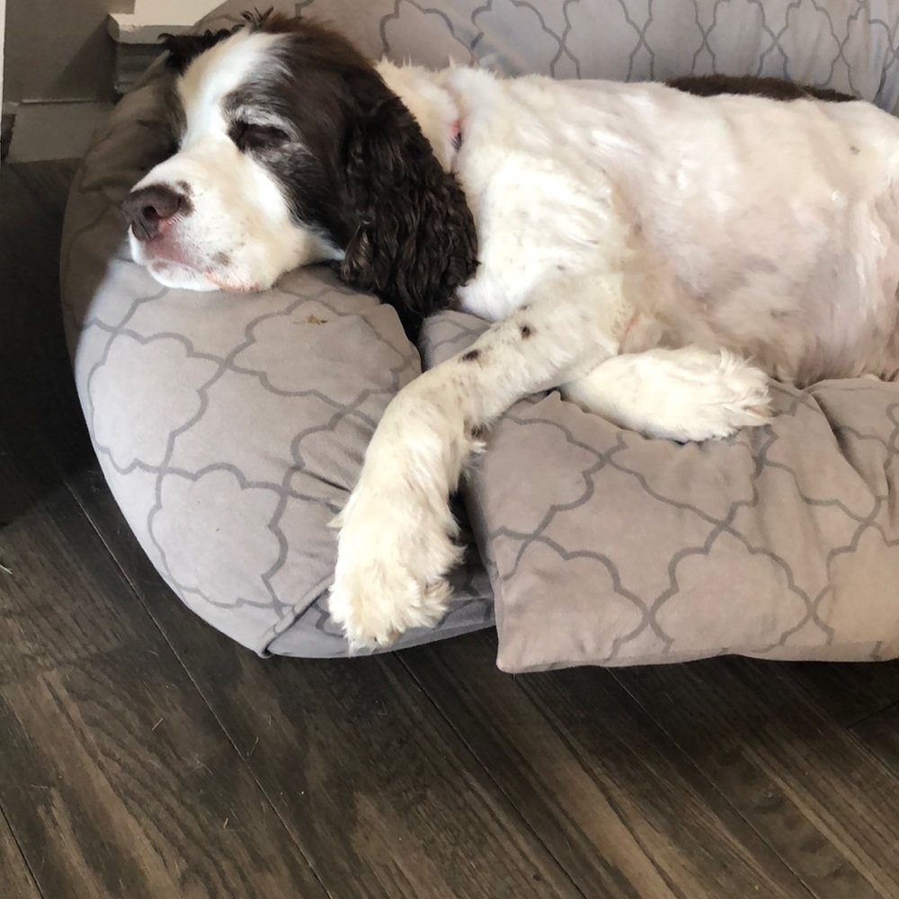 Meet your Posher, Christa